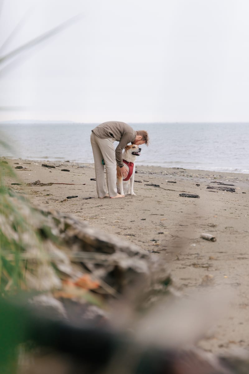 AI, Wisdom, and the Age of Discernment